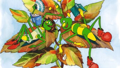 November 19-én nyitjuk a 2. fordulót