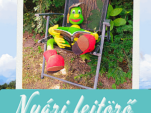 NYÁRI FEJTÖRŐ JÁTÉK A FACEBOOKON