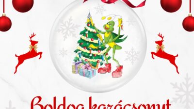 Karácsonyi meglepetés