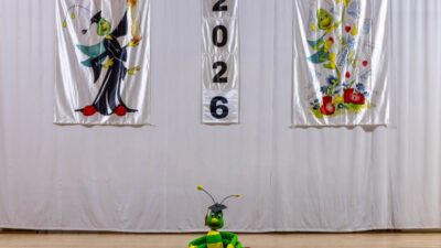 matekÁSZ országos döntő eredményei 2025-2026.